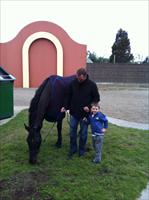 Michael, Lachlan and Maluckyday